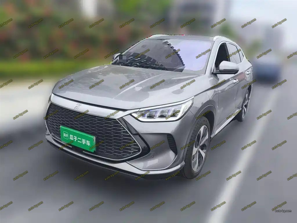 BYD PLUS New Energy 2022