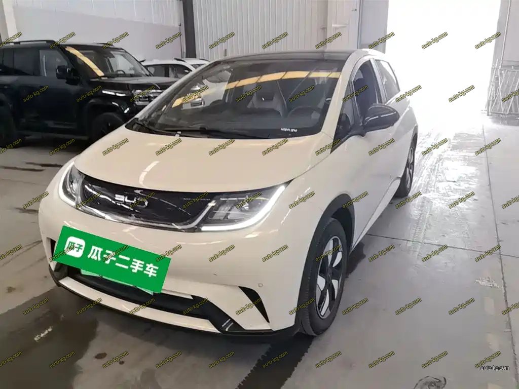 BYD Dolphin 2024