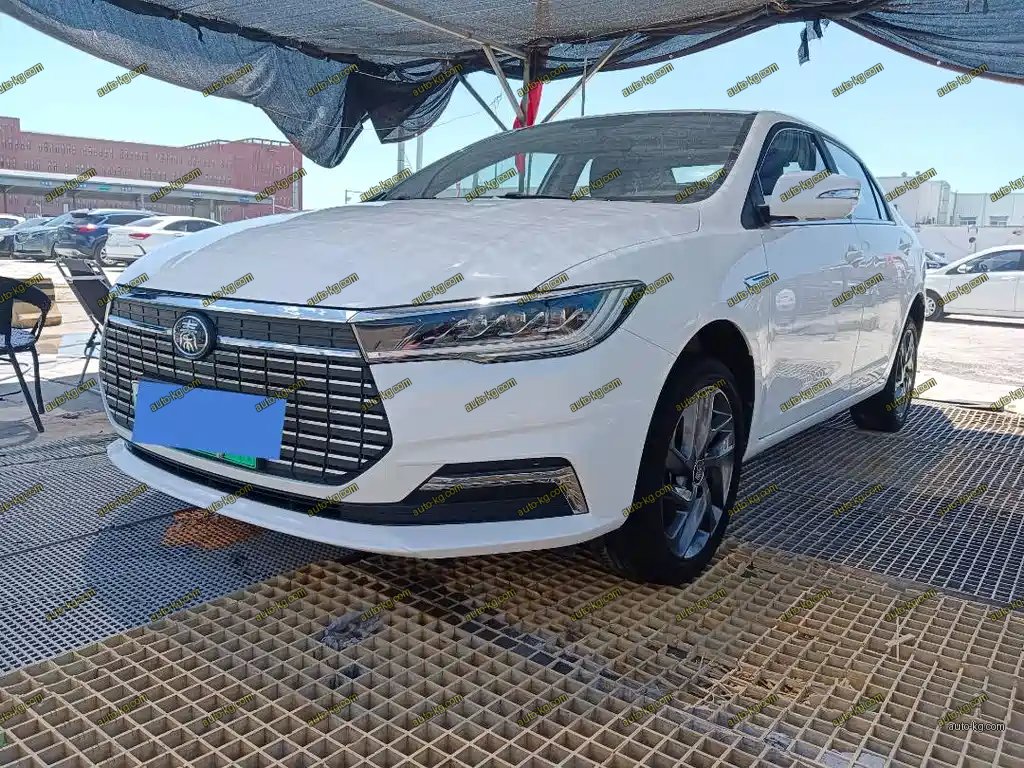 BYD Qin NEV 2020