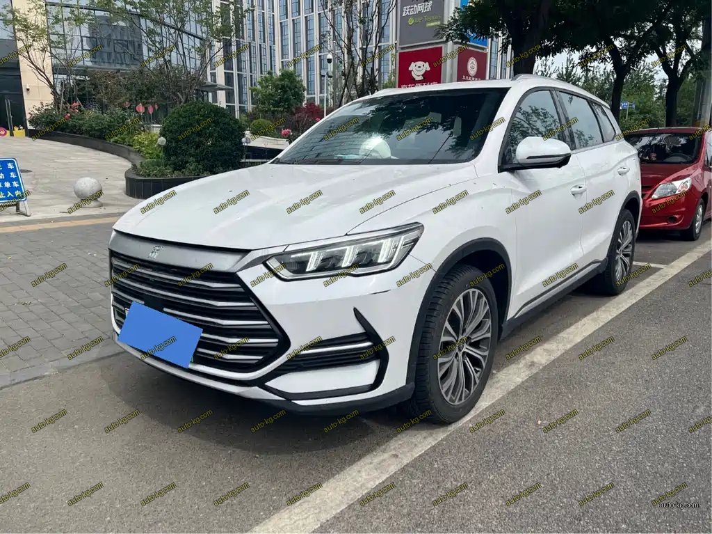 BYD Pro New Energy 2022