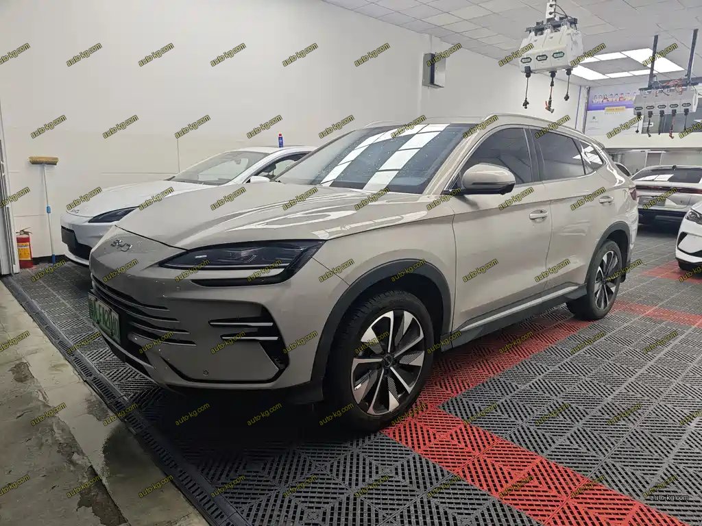 BYD PLUS New Energy 2024