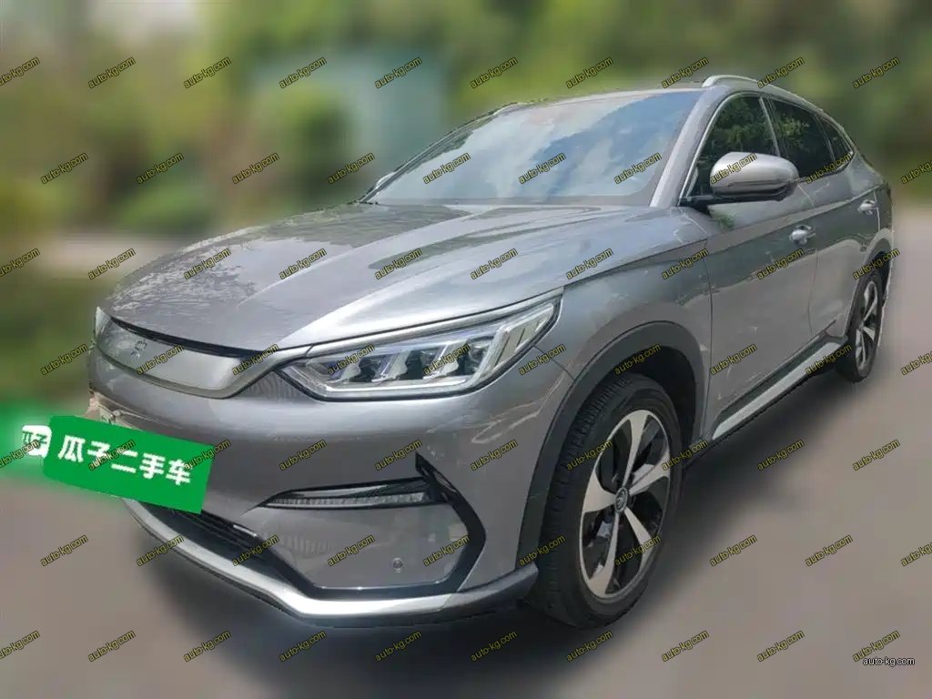 BYD PLUS New Energy 2022