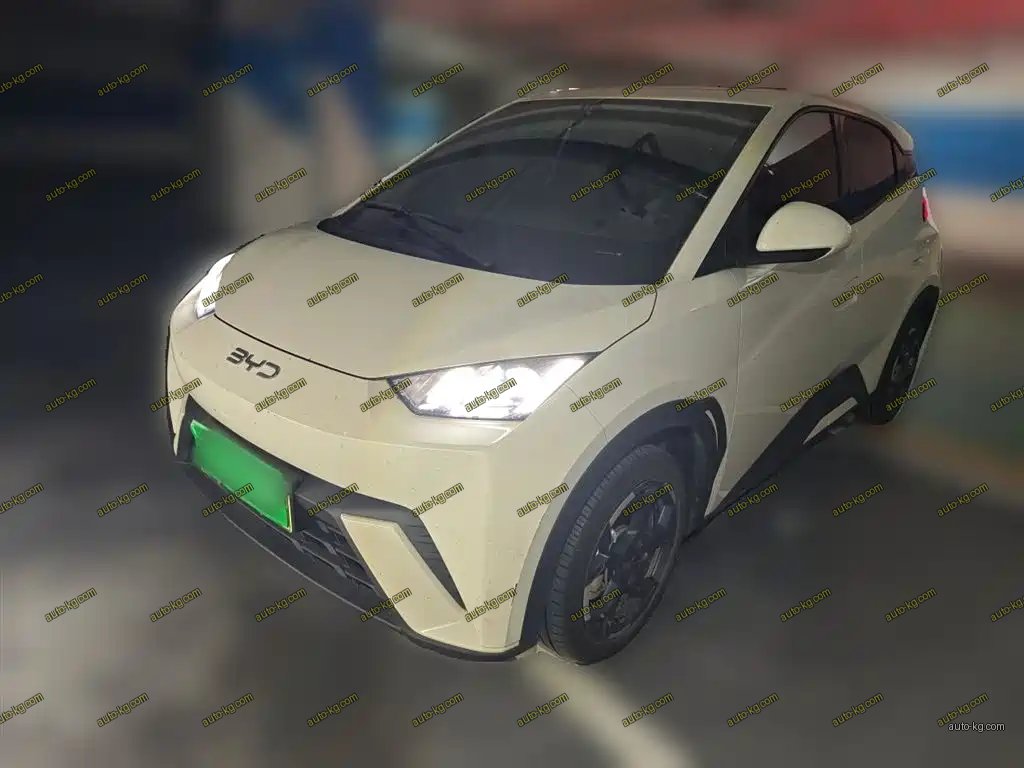 BYD Seagull 2025