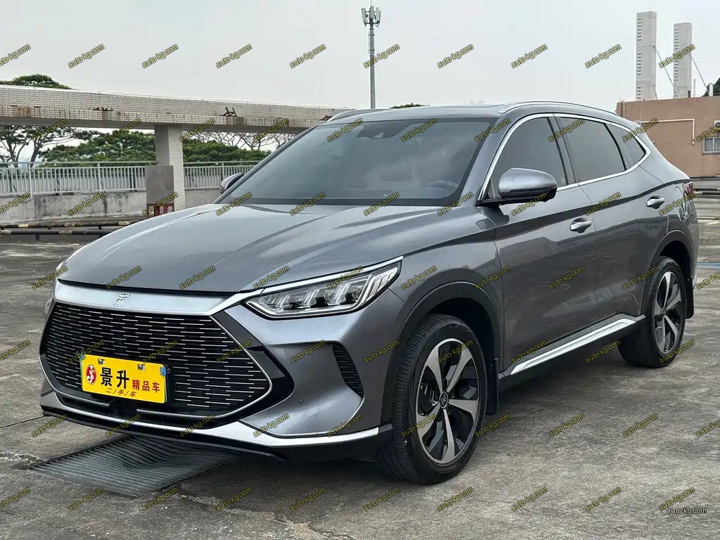BYD PLUS New Energy 2022