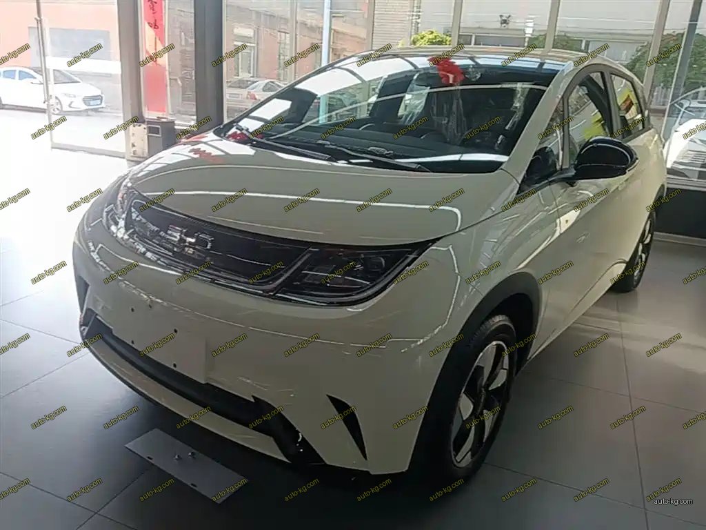 BYD Dolphin 2026