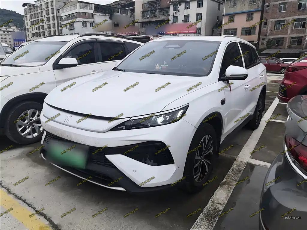 BYD Pro New Energy 2025