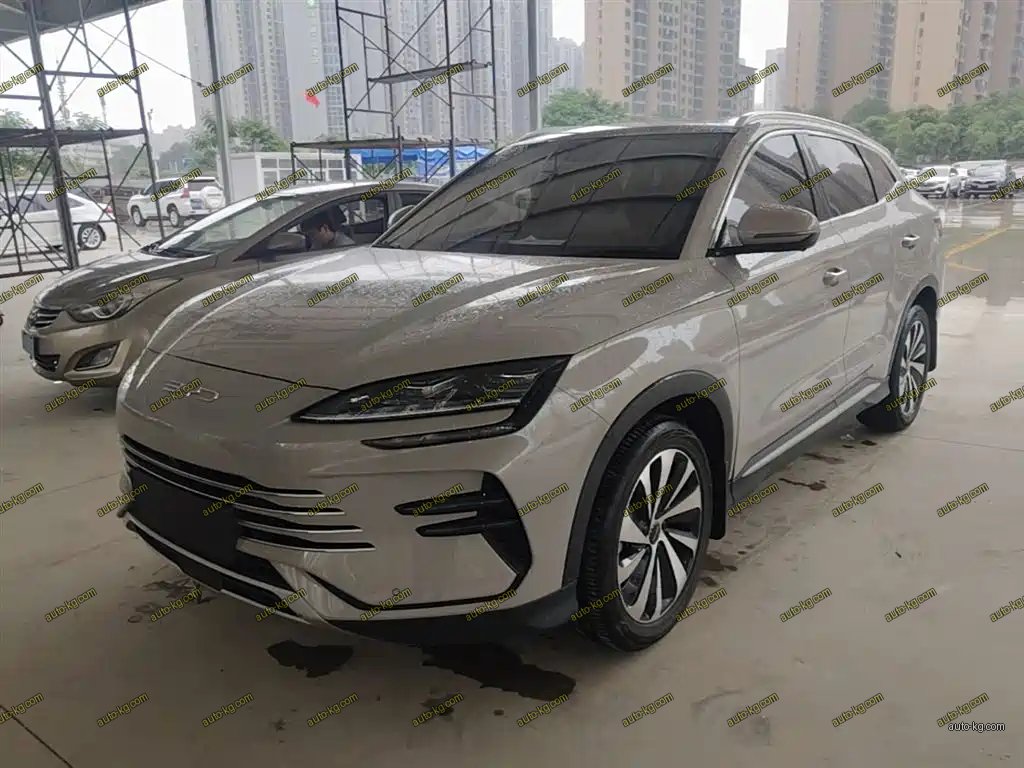 BYD PLUS New Energy 2024