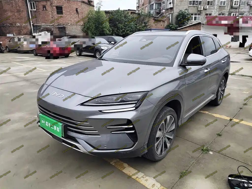 BYD PLUS New Energy 2024