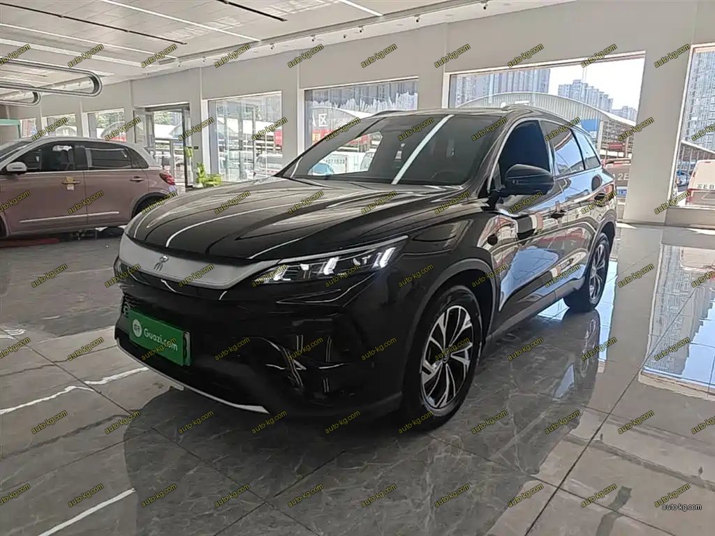 BYD Pro New Energy 2025