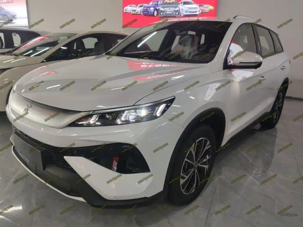 BYD Pro New Energy 2026