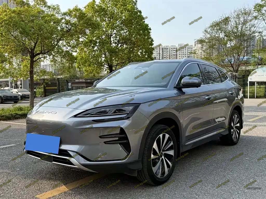 BYD PLUS New Energy 2024