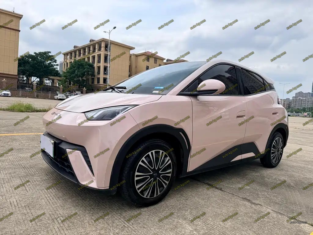 BYD Seagull 2024