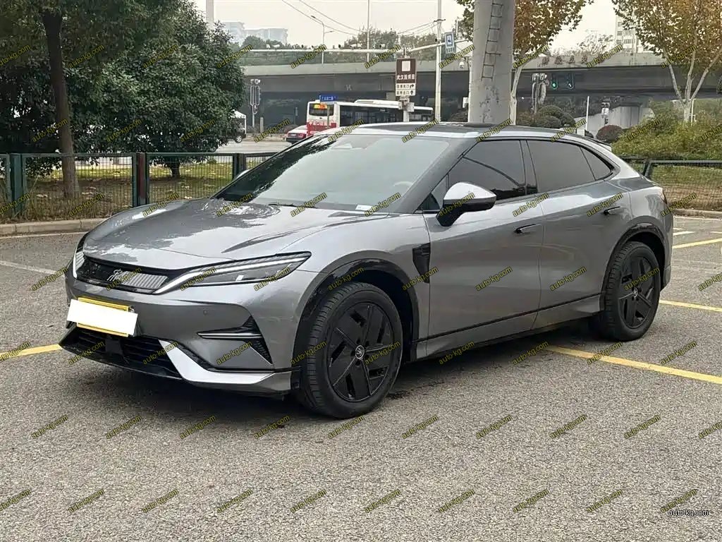 BYD L EV 2024