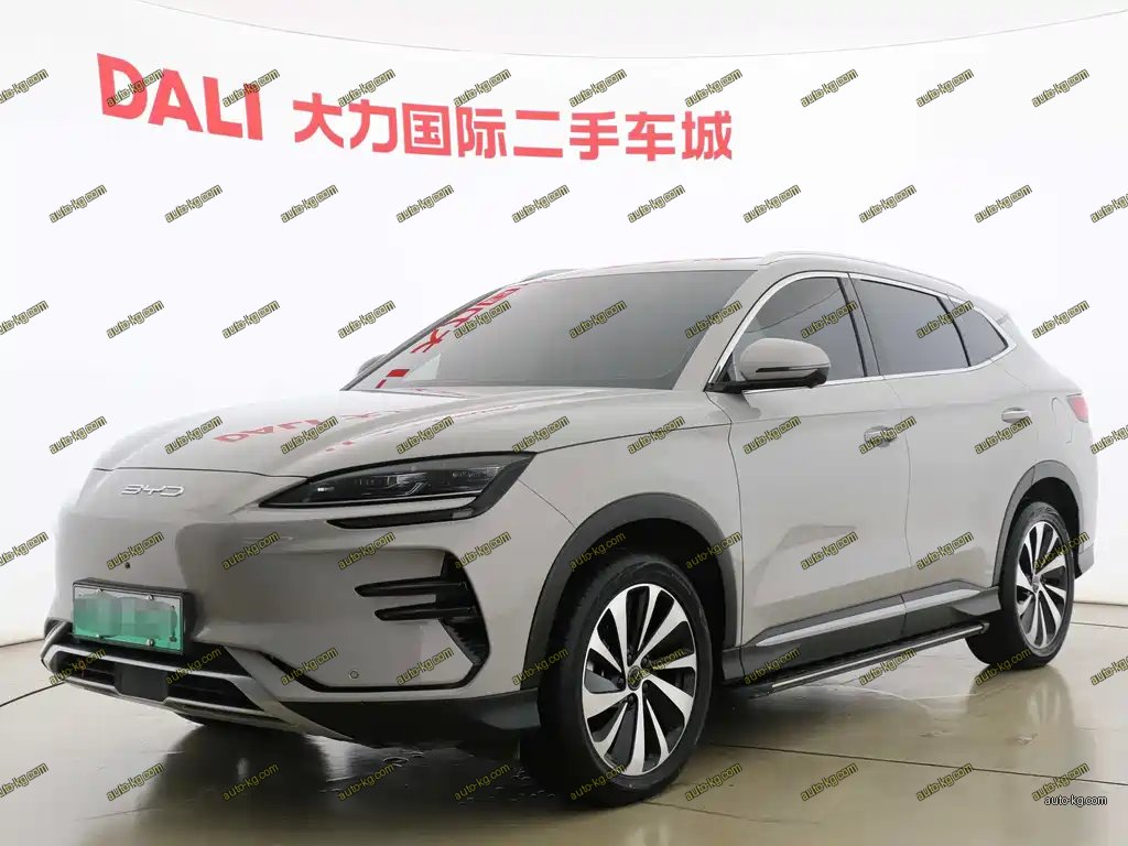 BYD PLUS New Energy 2024