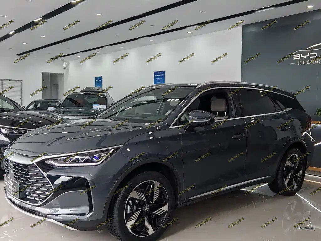 BYD Tang New Energy 2024