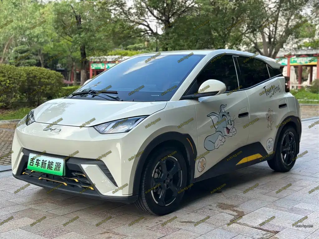 BYD Seagull 2024