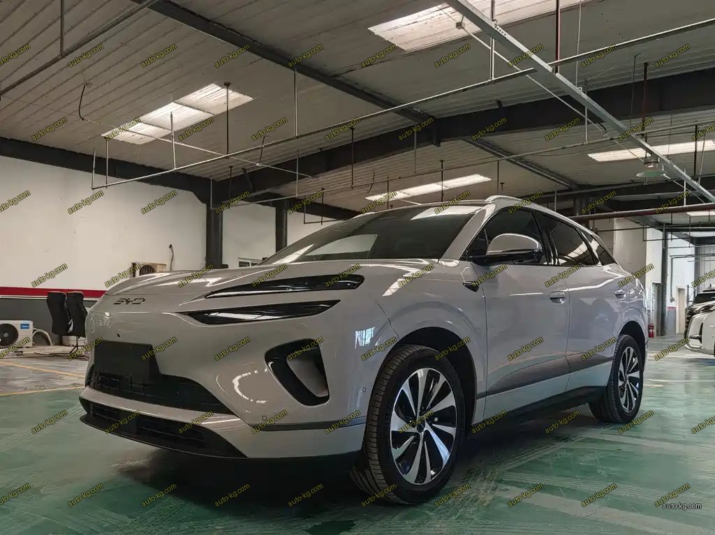 BYD 海狮06 2025