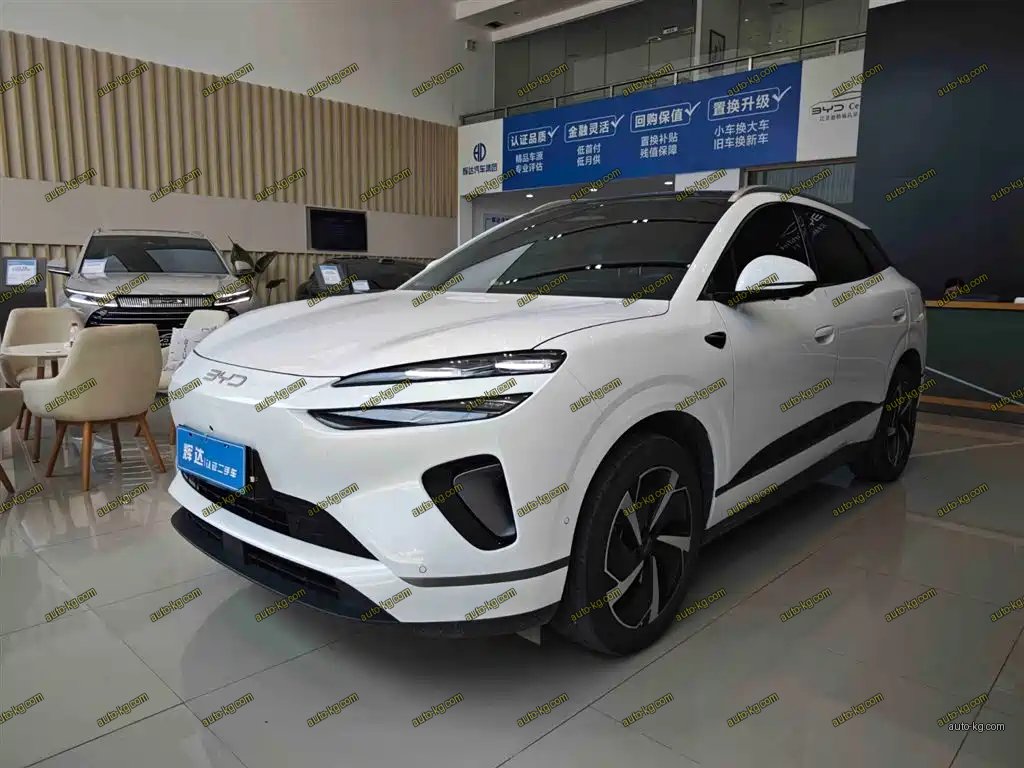 BYD 海狮06 2025