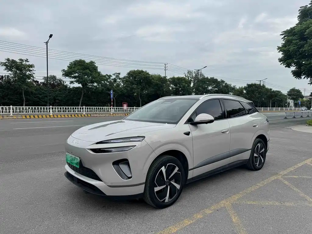 BYD 海狮06 2025