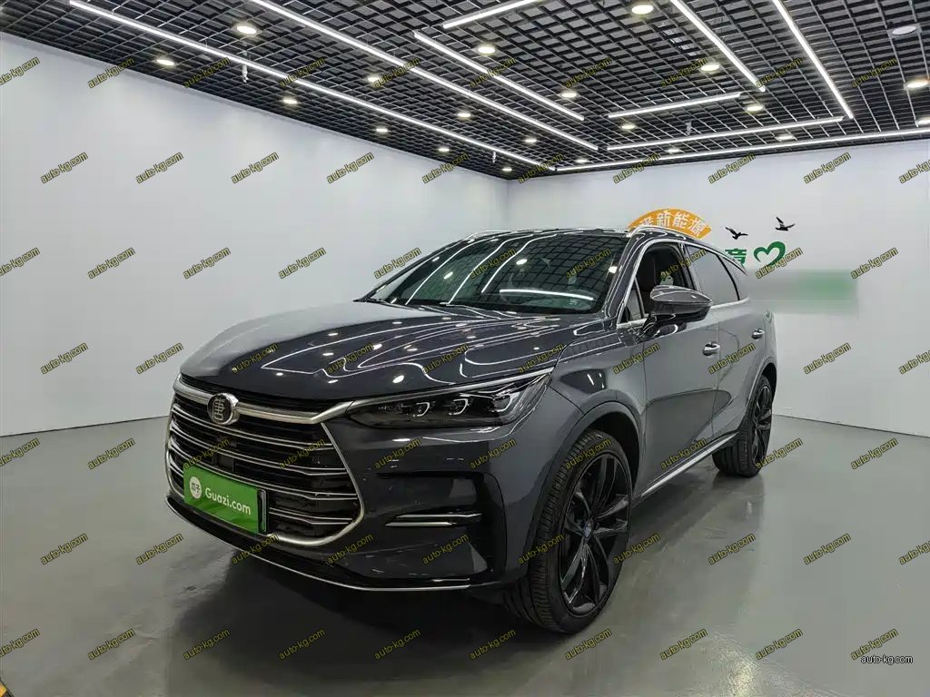 BYD Tang New Energy 2020
