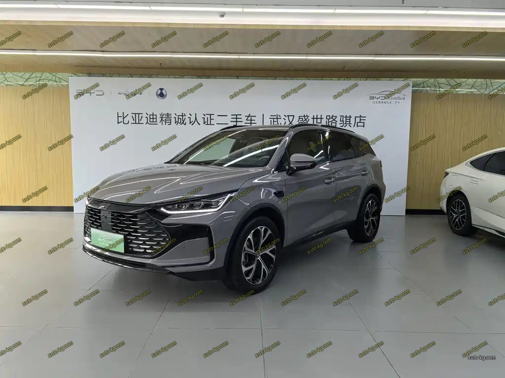 BYD Tang New Energy 2025