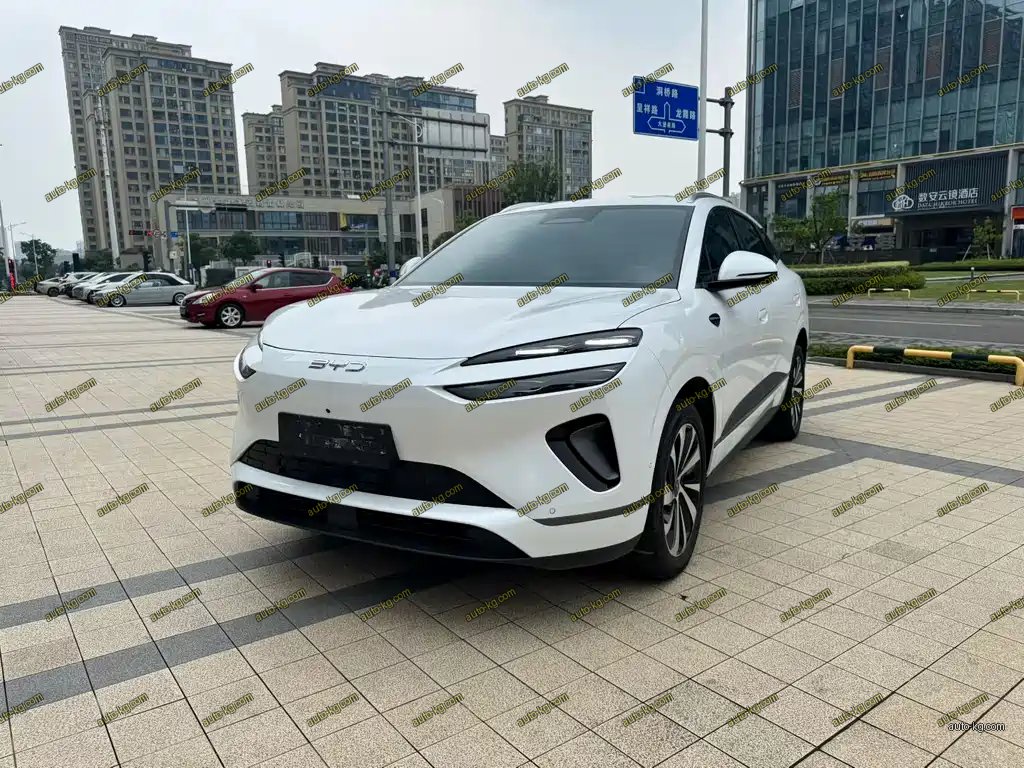 BYD 海狮06 2025