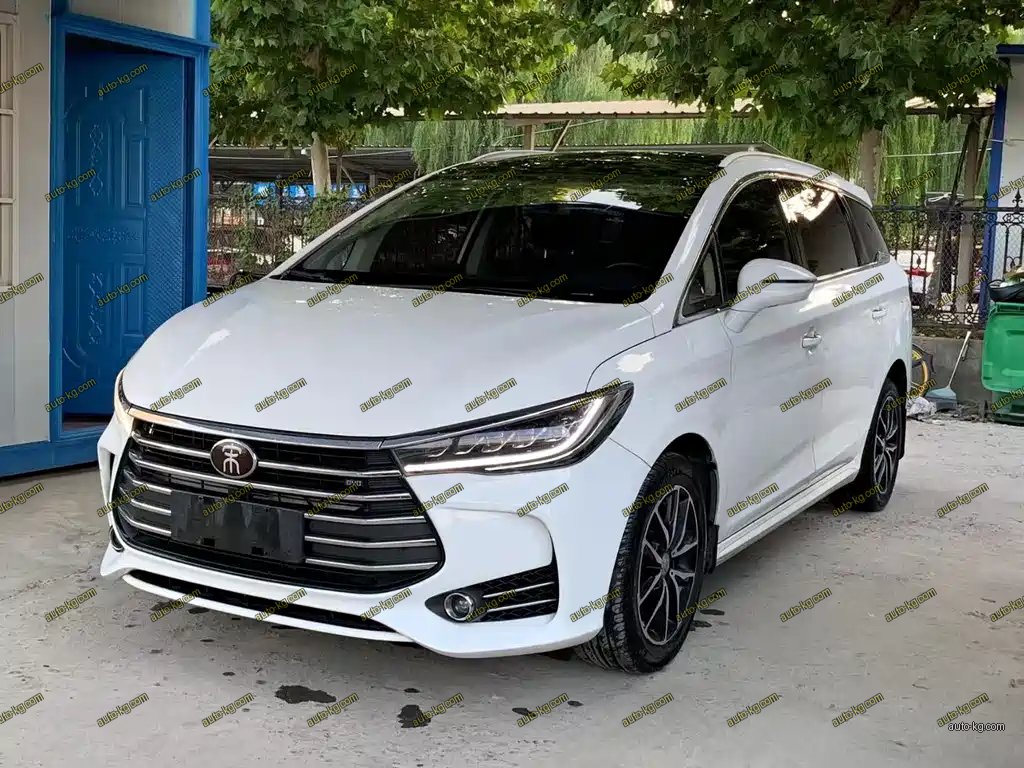 BYD MAX 2018