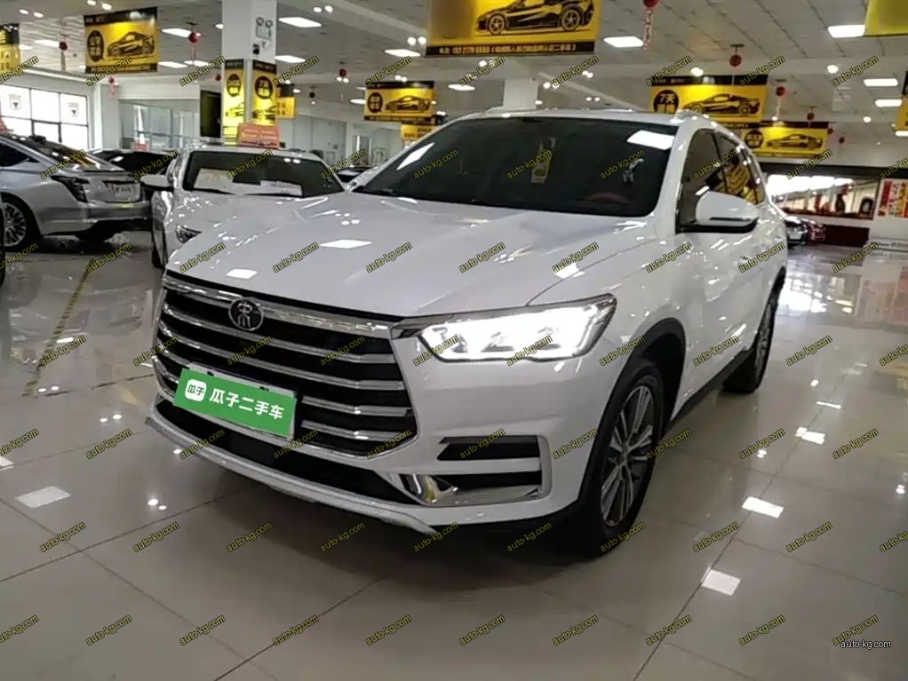 BYD Pro 2019