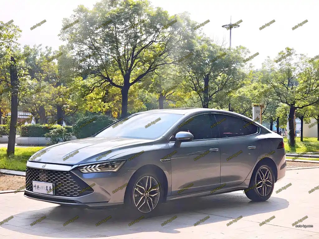BYD Qin PLUS 2022