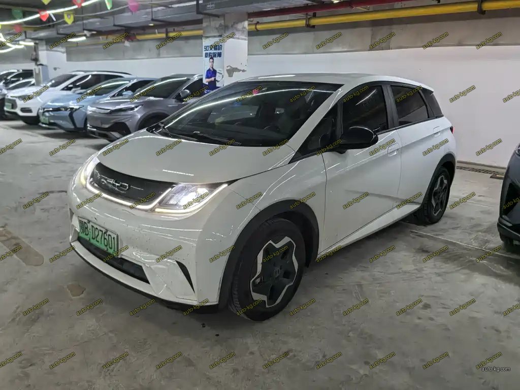 BYD Dolphin 2021