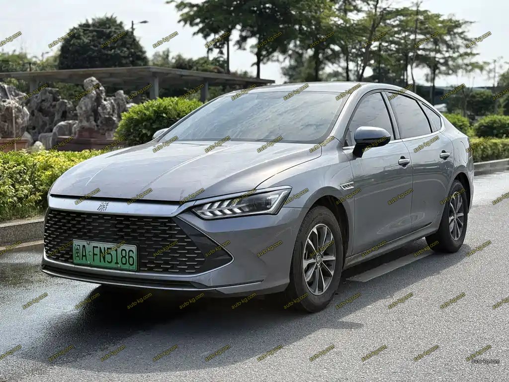BYD Qin PLUS 2024
