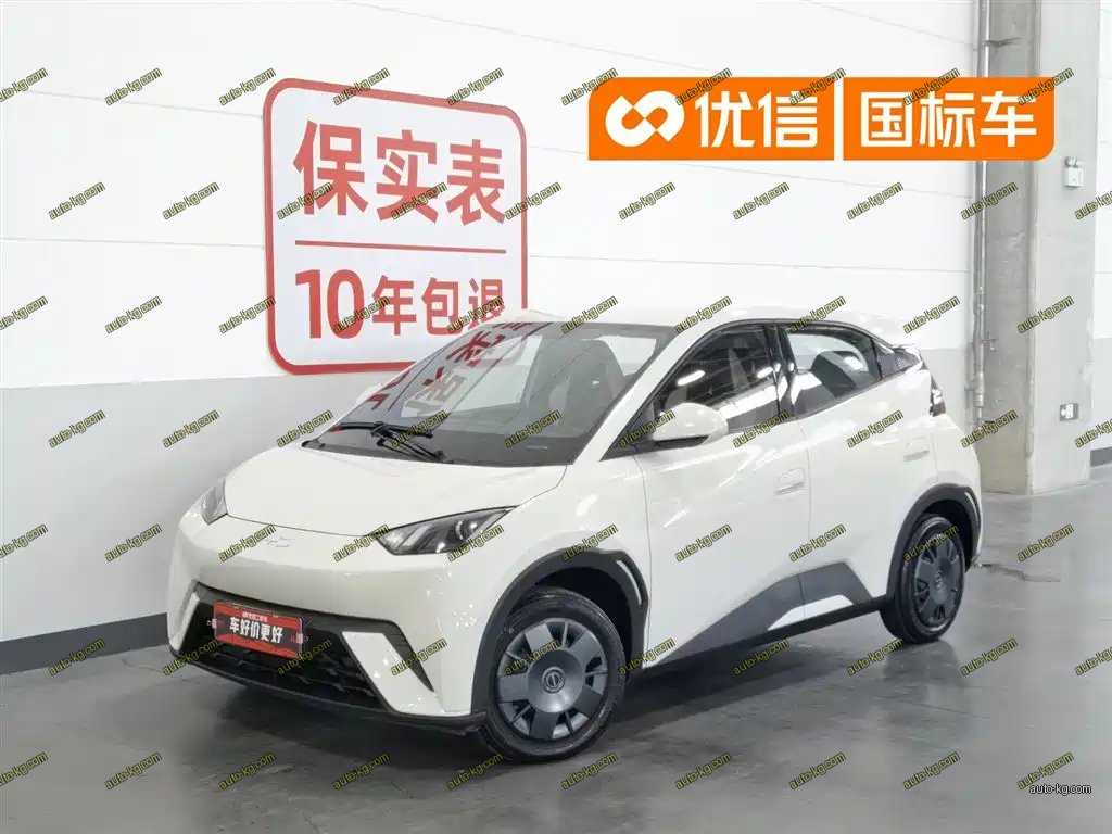 BYD Seagull 2024