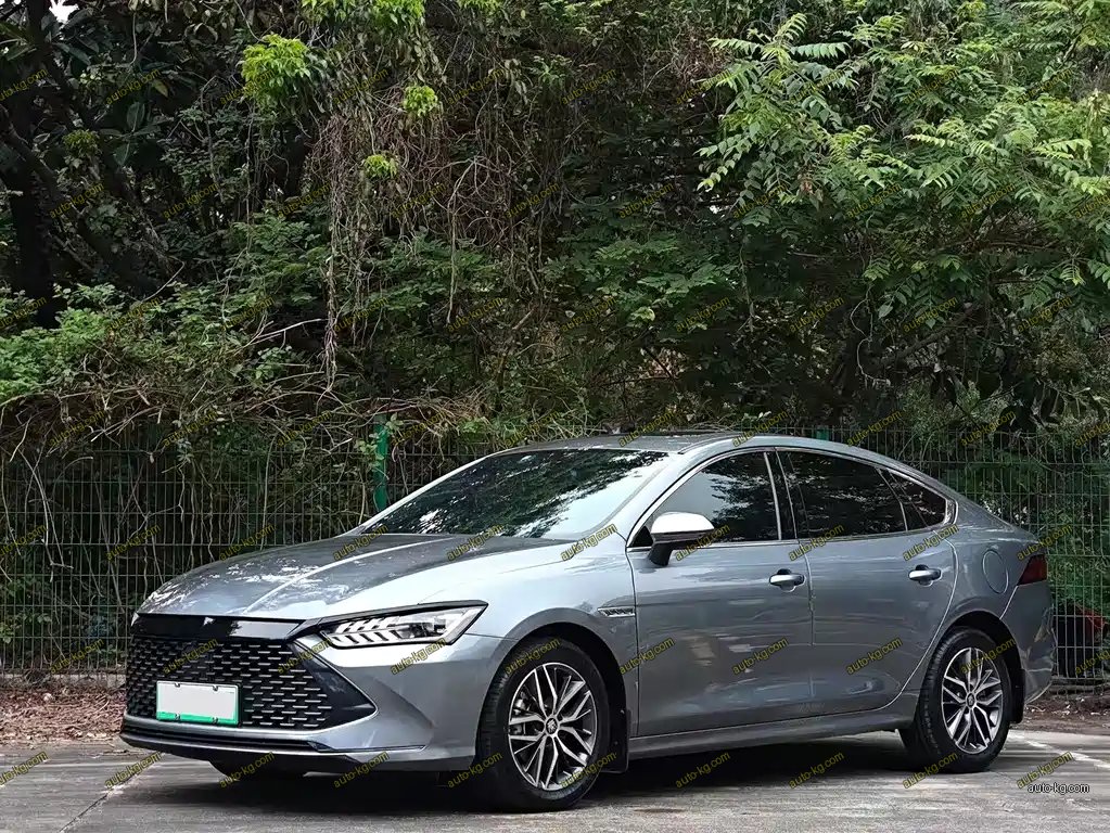 BYD Qin PLUS 2022