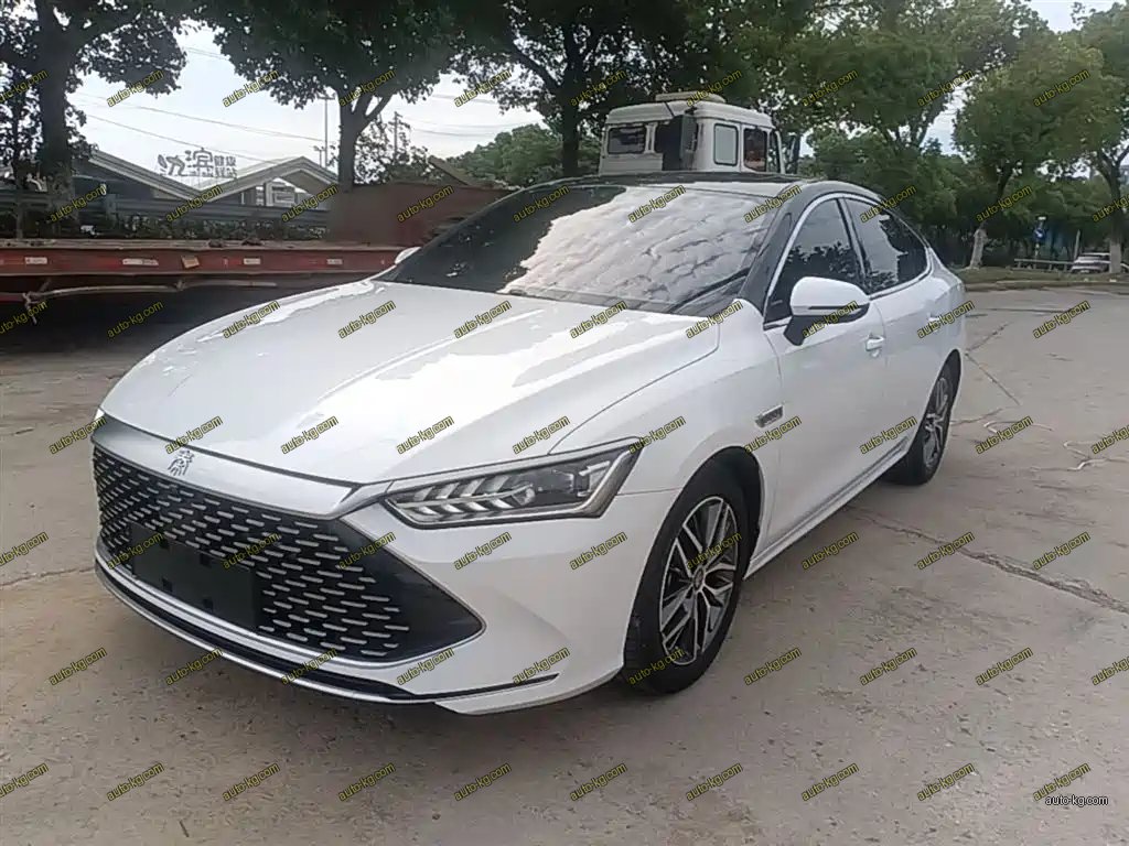 BYD Qin PLUS 2022