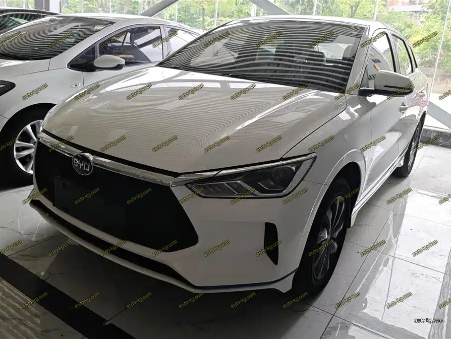 BYD e2 2021