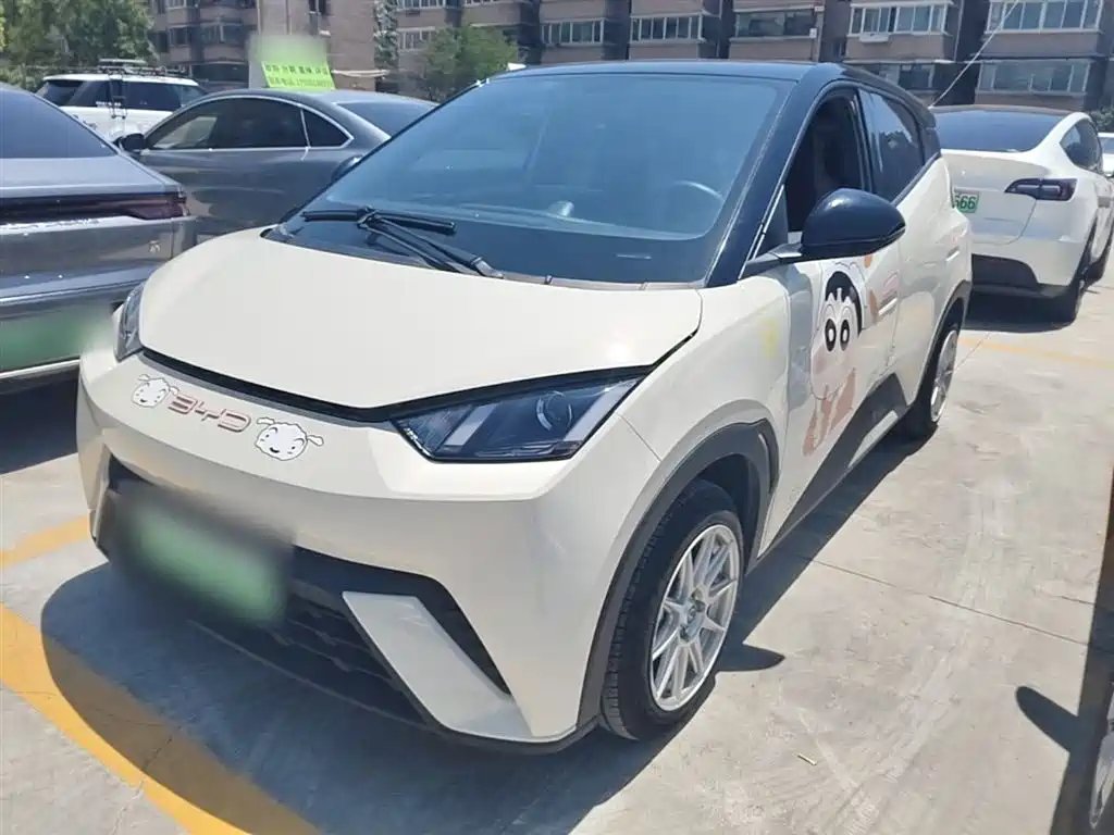 BYD Seagull 2024