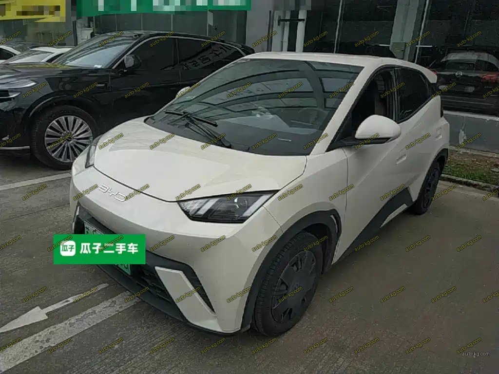 BYD Seagull 2024