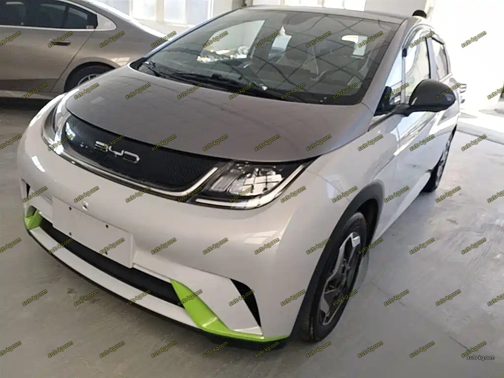 BYD Dolphin 2021