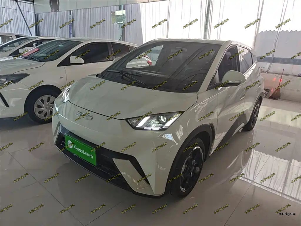 BYD Seagull 2024