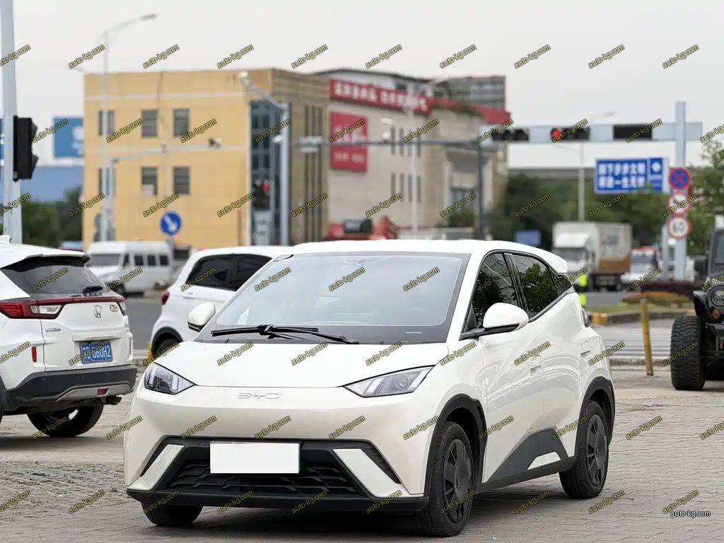 BYD Seagull 2025