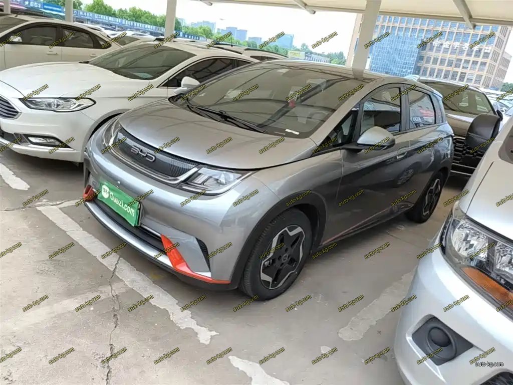 BYD Dolphin 2022