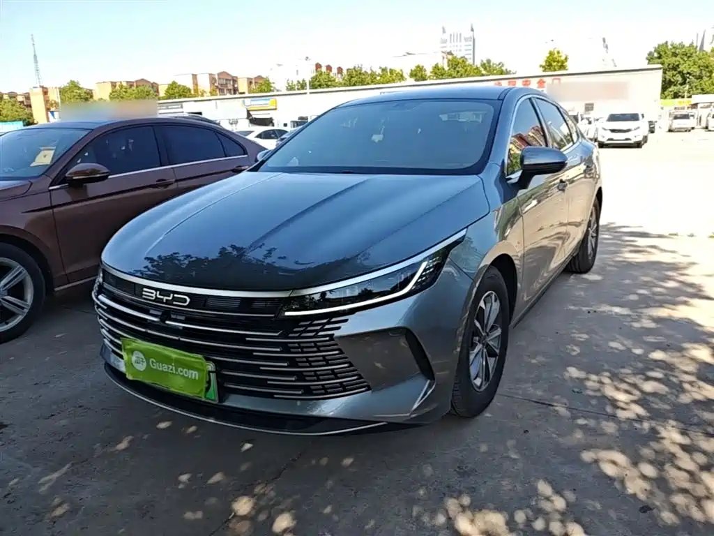 BYD Destroyer 05 2024