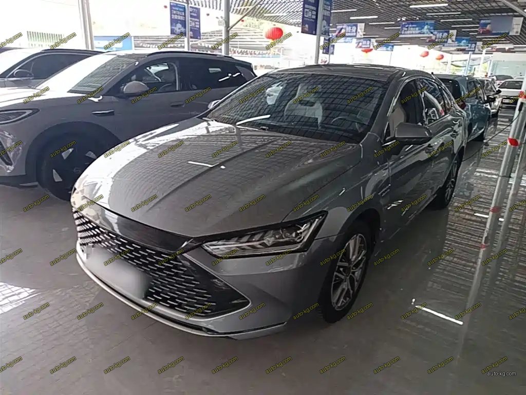 BYD Qin PLUS 2023