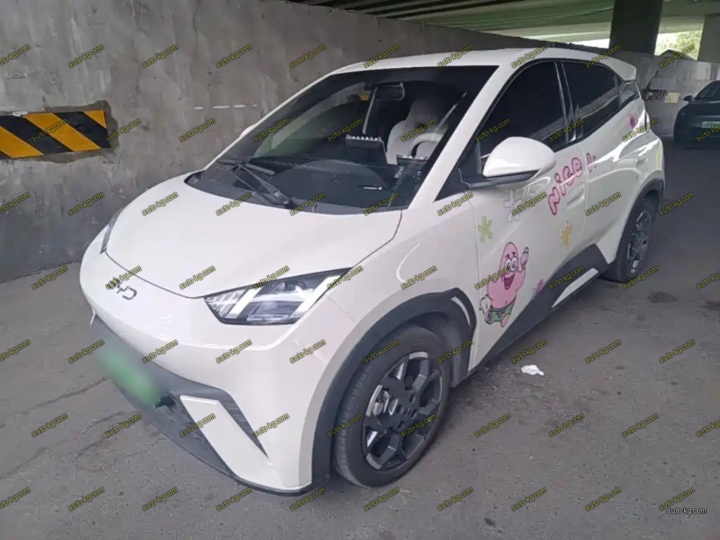 BYD Seagull 2025