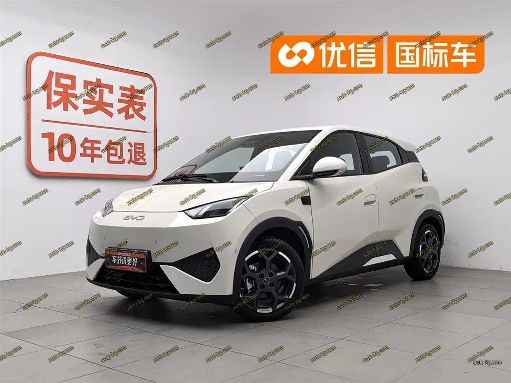 BYD Seagull 2025