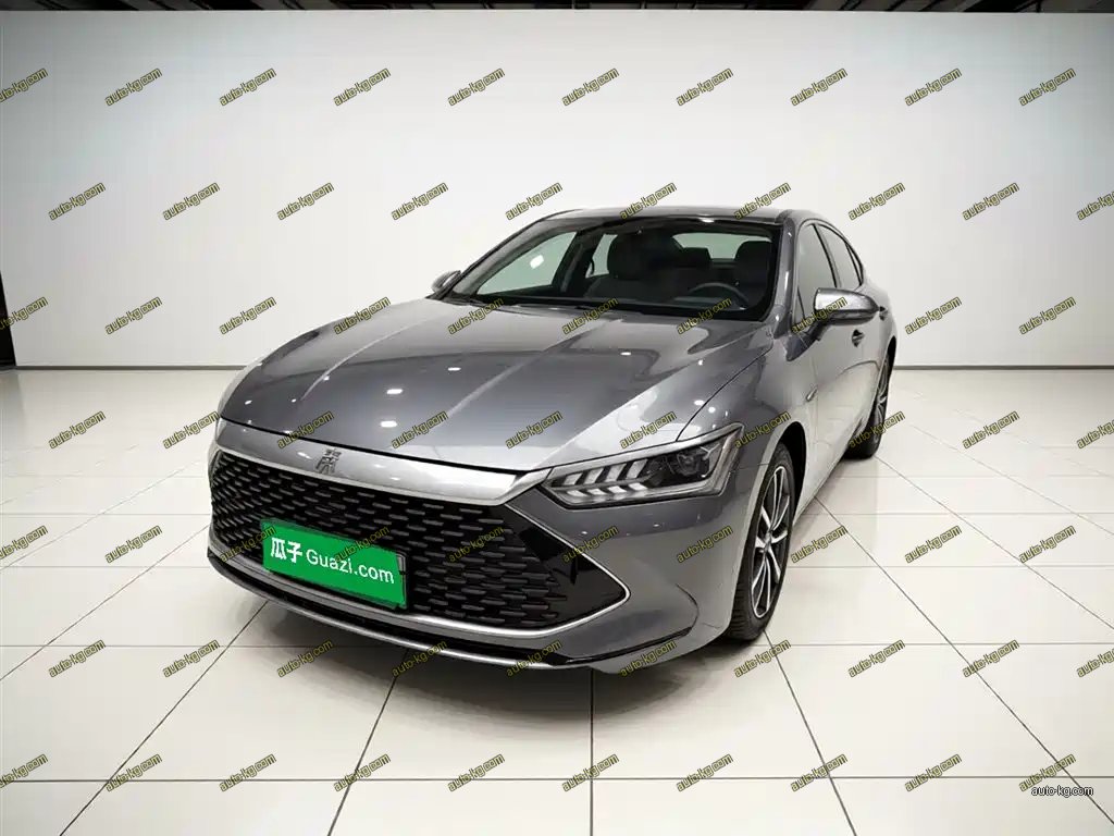 BYD Qin PLUS 2024