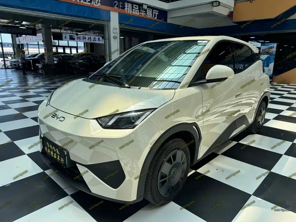 BYD Seagull 2026