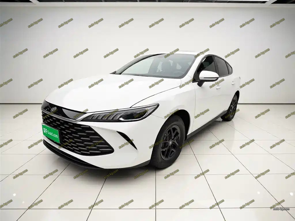 BYD Qin PLUS 2025