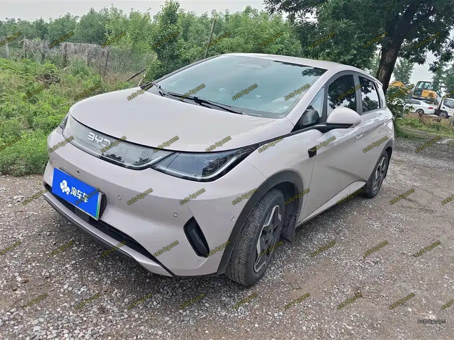 BYD Dolphin 2025