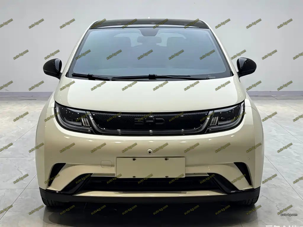 BYD Dolphin 2024
